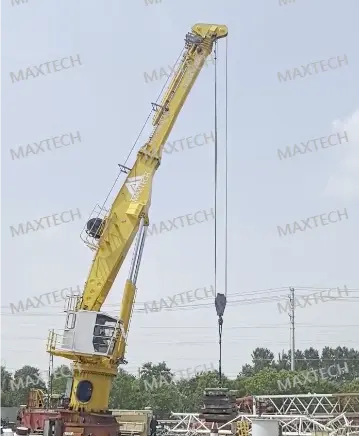 third 3t39m (1)(1).png